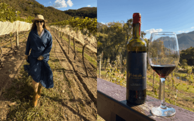 Tour e Degustação na Vinícola Moradas da Serra