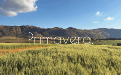 A primavera na Canastra: viva dias de leveza e encanto na Vila Craton